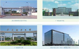 广州黄埔造船厂技工学校2017年招生简章——技术开发与转让专业解析